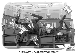 GUN CONTROL PANIC IN CONGRESS by R.J. Matson