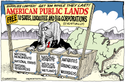 GIVING AWAY FEDERAL PUBLIC LANDS  by Monte Wolverton