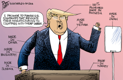 TRUMPS PROMISE by Bruce Plante