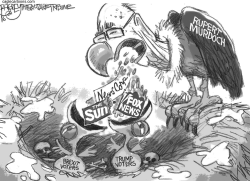 ANGRY BIRDS by Pat Bagley