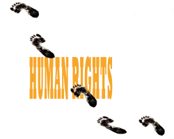 HUMAN RIGHTS by Pavel Constantin