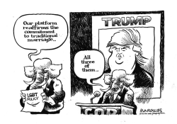REPUBLICAN PLATFORM ON LGBT by Jimmy Margulies