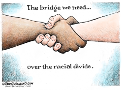 RACIAL DIVIDE BRIDGE  by Dave Granlund