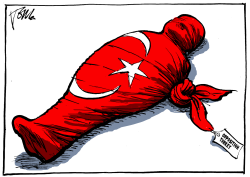 OPPOSITION TURKEY by Tom Janssen