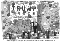 TRUMP ADDRESSES THE ELEPHANT IN THE ROOM by R.J. Matson