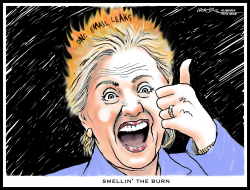 HILLARY SMELLS THE BURN by J.D. Crowe