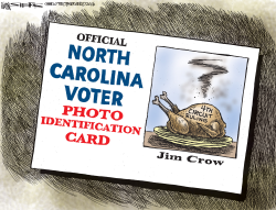 NORTH CAROLINA VOTER CARD by Kevin Siers