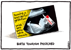 BIRTH TOURISM POSTCARD by Ingrid Rice