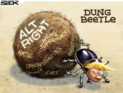 ALT RIGHT ALL WRONG  by Steve Sack