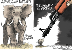 IVORY TRADE  by Pat Bagley