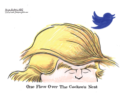 TRUMP AND TWITTER  by Jimmy Margulies