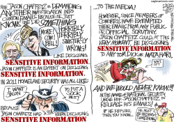 ANOTHER HILLARY PROBE  by Pat Bagley
