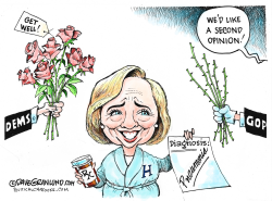 HILLARY DIAGNOSIS  by Dave Granlund