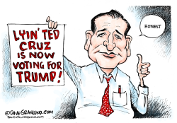 TED CRUZ VOTING FOR TRUMP  by Dave Granlund