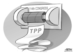 114TH CONGRESS AND TPP TRADE BILL by R.J. Matson