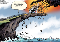 DESASTRE DEL OBAMACARE /  by Nate Beeler