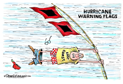 HURRICANES AND WARNING FLAGS  by Dave Granlund