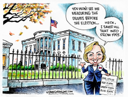 HILLARY AND WHITE HOUSE DRAPES by Dave Granlund