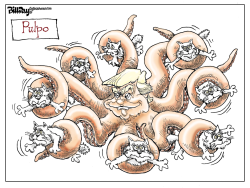 PULPO /  by Bill Day