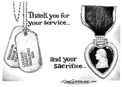 VETERANS SERVICE AND SACRIFICE by Dave Granlund