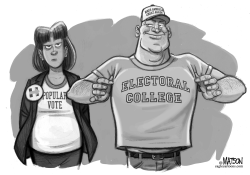 POPULAR VOTE AND THE ELECTORAL COLLEGE by R.J. Matson