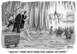 TRUMP DRAINS THE SWAMP LOOKING FOR PEOPLE TO APPOINT TO HIS CABINET by R.J. Matson