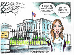 MELANIA AND WHITE HOUSE  by Dave Granlund
