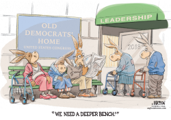 TIRED OLD DEMOCRATS IN CONGRESS NEED A DEEPER BENCH- by RJ Matson