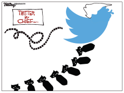 TWITTER IN CHIEF by Bill Day