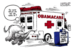 OBAMACARE FOE PRICE NAMED HHS SECRETARY  by Jimmy Margulies