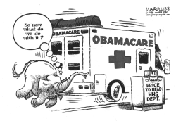 OBAMACARE FOE PRICE HHS SECRETARY by Jimmy Margulies