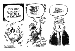 TRUMP BOGUS CLAIM OF VOTER FRAUD by Jimmy Margulies