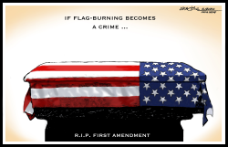 FLAG-BURNING FIRST AMENDMENT by J.D. Crowe