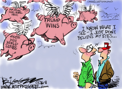 TRUMP WINS by Milt Priggee