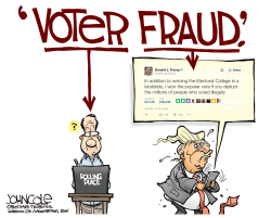 THE VOTER AND THE FRAUD by John Cole