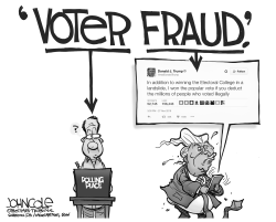 THE VOTER AND THE FRAUD BW by John Cole