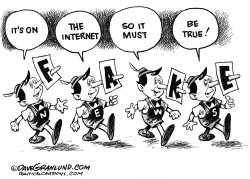 FAKE NEWS AND INTERNET by Dave Granlund