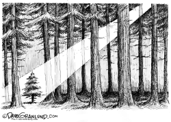 CHRISTMAS TREE AND FOREST by Dave Granlund