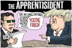 THE APPRENTISIDENT by Monte Wolverton