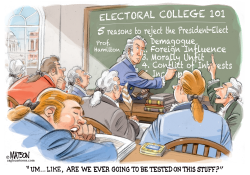 ELECTORAL COLLEGE 101 by R.J. Matson