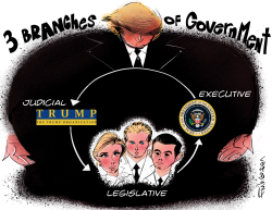 TRUMP'S 3 BRANCHES OF GOVERNMENT by Frank Hansen