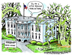 TRUMP CONFLICTS  by Dave Granlund