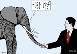 CHINA SAVES ELEPHANTS by Rainer Hachfeld