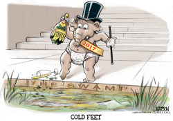 REPUBLICANS RELUCTANT TO JUMP INTO CONGRESSIONAL ETHICS SWAMP- by RJ Matson