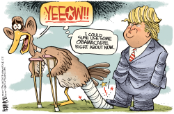 OBAMA LAME DUCK by Rick McKee