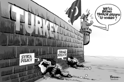 TURKEY AND TERROR GROUPS by Paresh Nath
