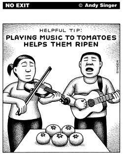 PLAYING MUSIC TO TOMATOES by Andy Singer