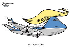 HAIR FORCE ONE by Manny Francisco