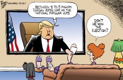 NATIONAL POPULAR VOTE by Bruce Plante