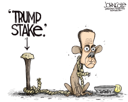 TOOMEY AND TRUMP by John Cole